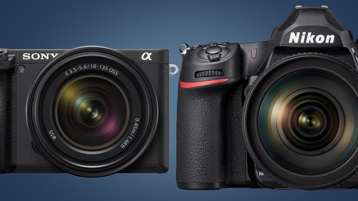 Mirrorless camera size dslr cameras comparison vs digital use wildlife reasons photography